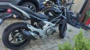 Suzuki Gladius 650 SFV (2009 - 15)  (4)