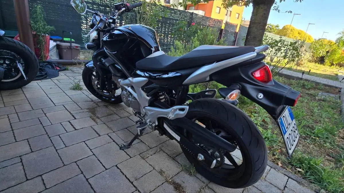 Suzuki Gladius 650 SFV (2009 - 15)  (5)