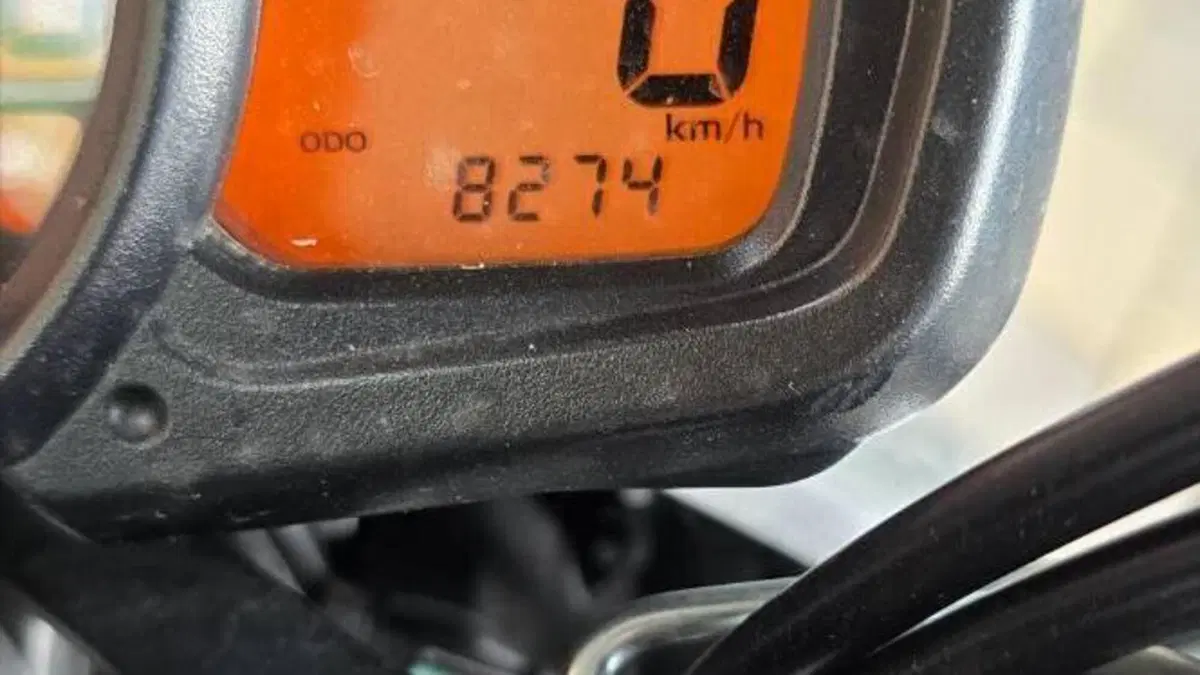 Suzuki Gladius 650 SFV (2009 - 15)  (6)