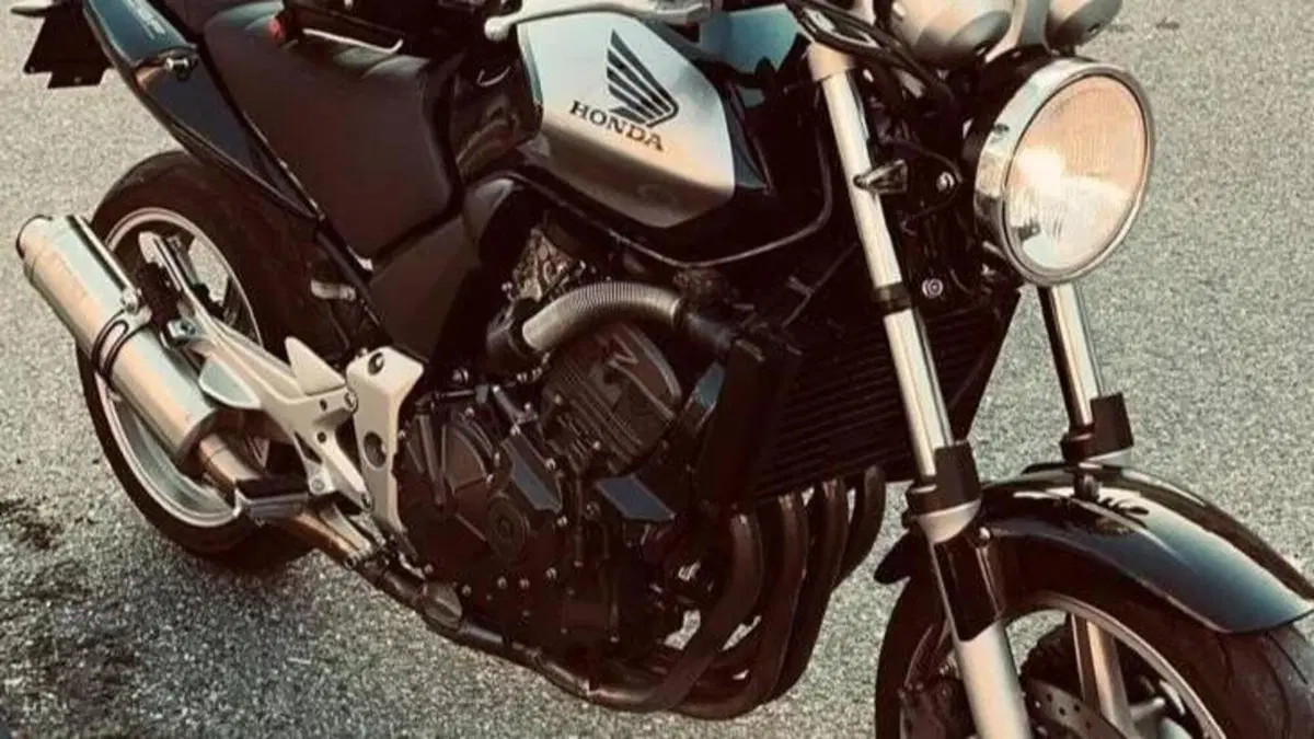Honda CBF 600 N (2005- 11)  (3)
