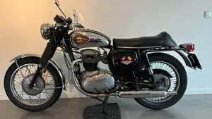 Bsa   (5)