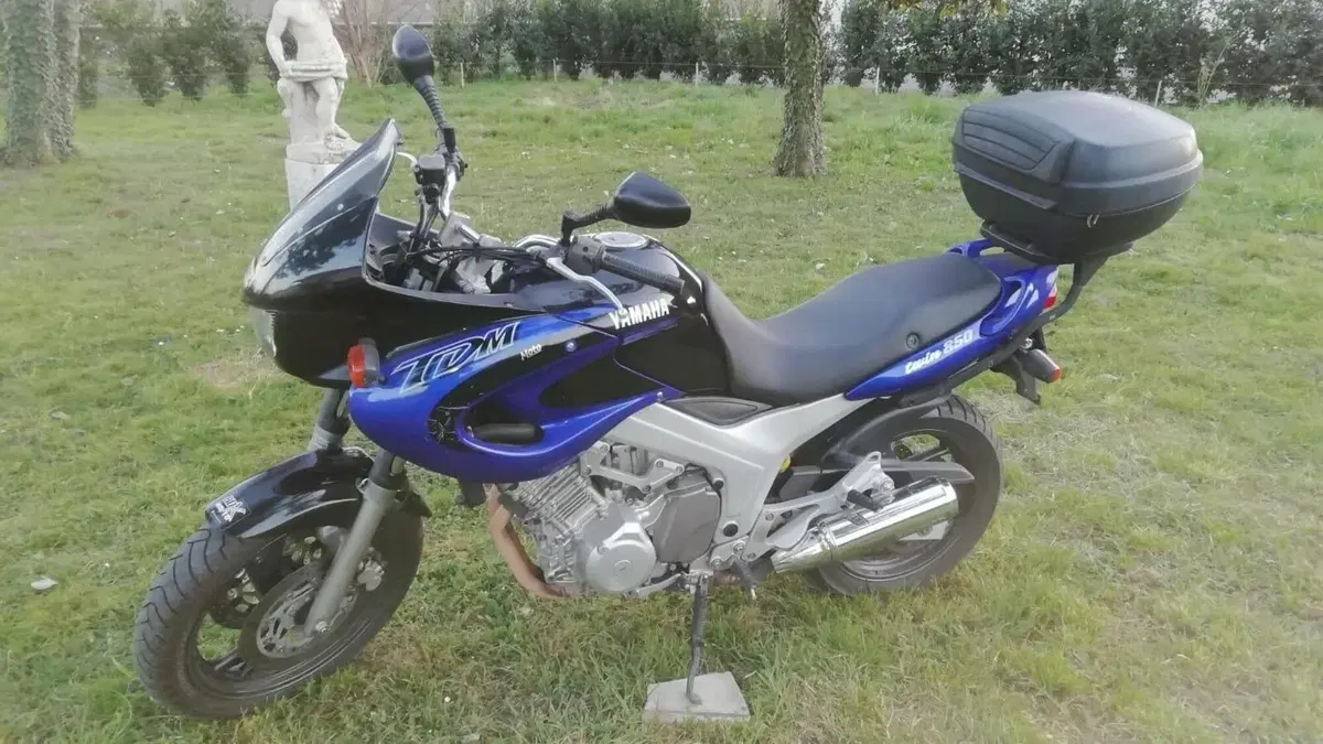 Yamaha TDM 850 (1996 - 01)  (2)