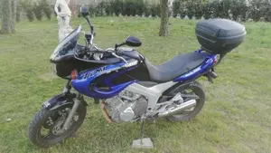 Yamaha TDM 850 (1996 - 01)  (2)