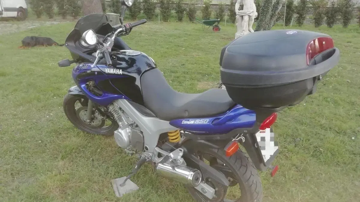 Yamaha TDM 850 (1996 - 01)  (3)