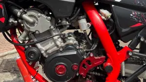 Betamotor RR 125 4T Motard LC (2018 - 20)  (6)