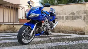 Suzuki SV 1000 S 
