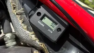 GASGAS TXT 300 PRO Racing (2017)  (8)