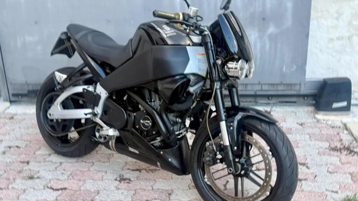 Buell   (6)