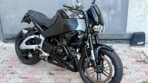 Buell   (6)