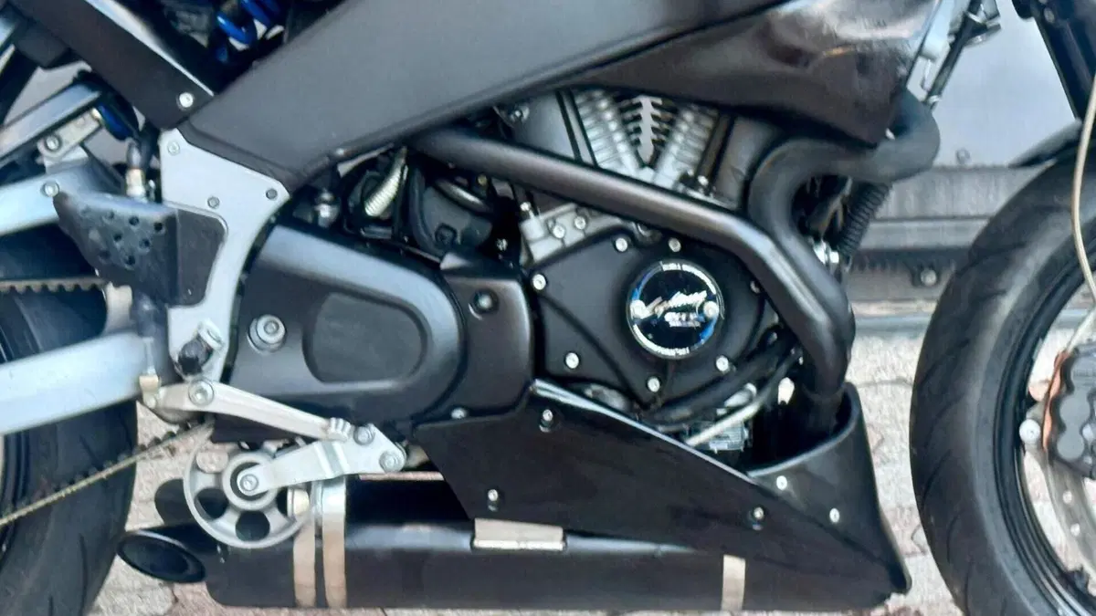 Buell   (8)