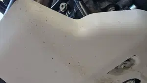 Bmw F 900 GS (2024 - 26)  (9)