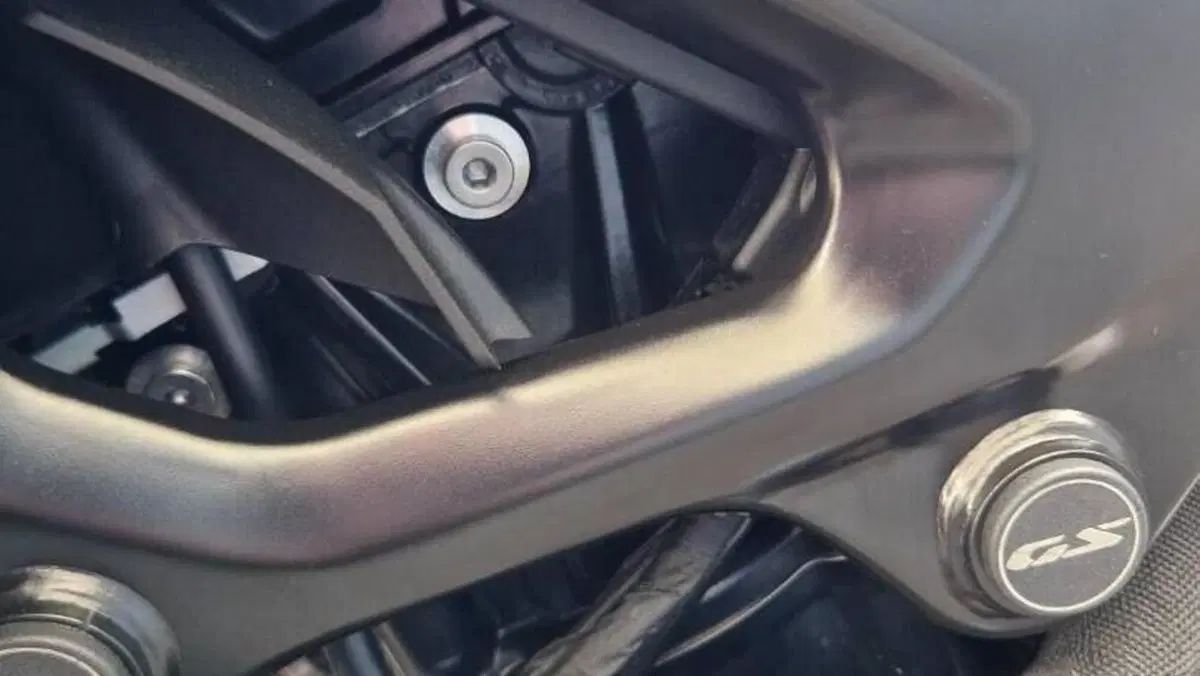 Bmw F 900 GS (2024 - 26)  (15)