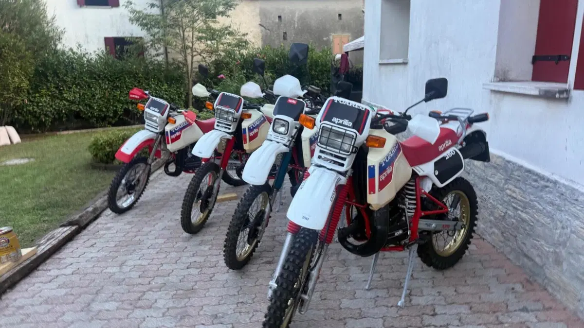 Aprilia   (3)