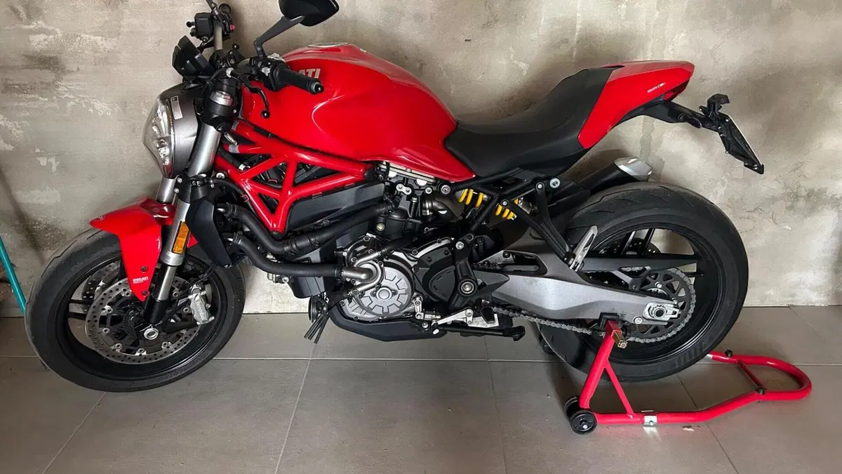 Ducati Monster 821 (2018 - 20)  (4)