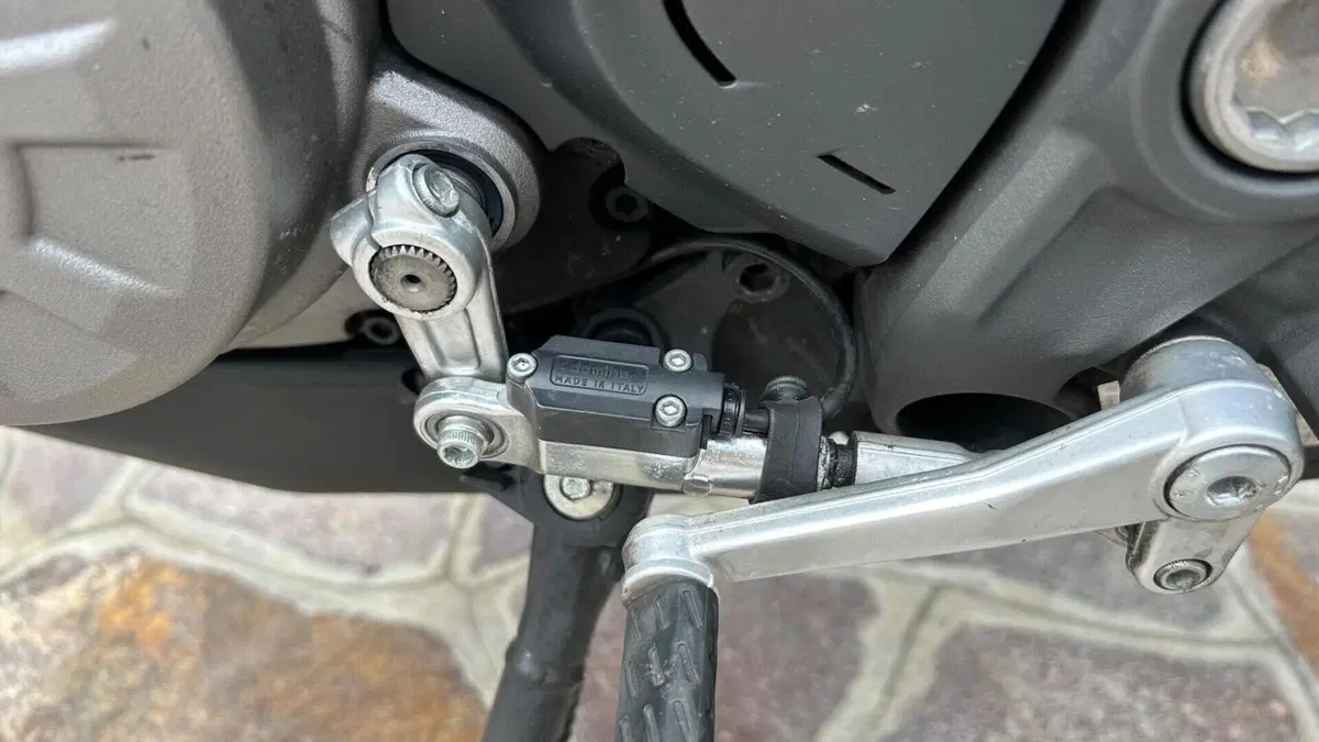 Ducati Monster 821 (2018 - 20)  (7)