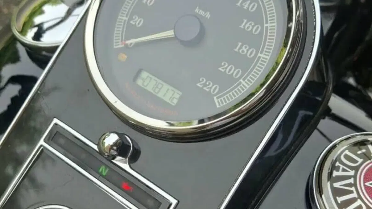 Harley-Davidson 1690 Deluxe ABS (2011 - 16) - FLSTN  (6)