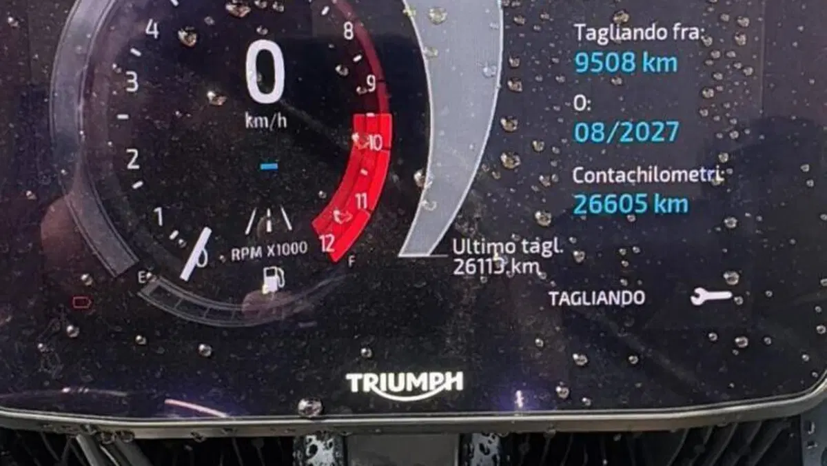 Triumph Tiger 900 Rally Pro (2024 - 26)  (3)