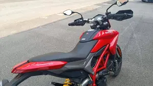 Ducati Hypermotard 939 (2016 - 18)  (11)