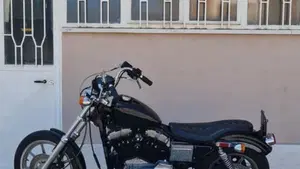 Harley-Davidson   (2)