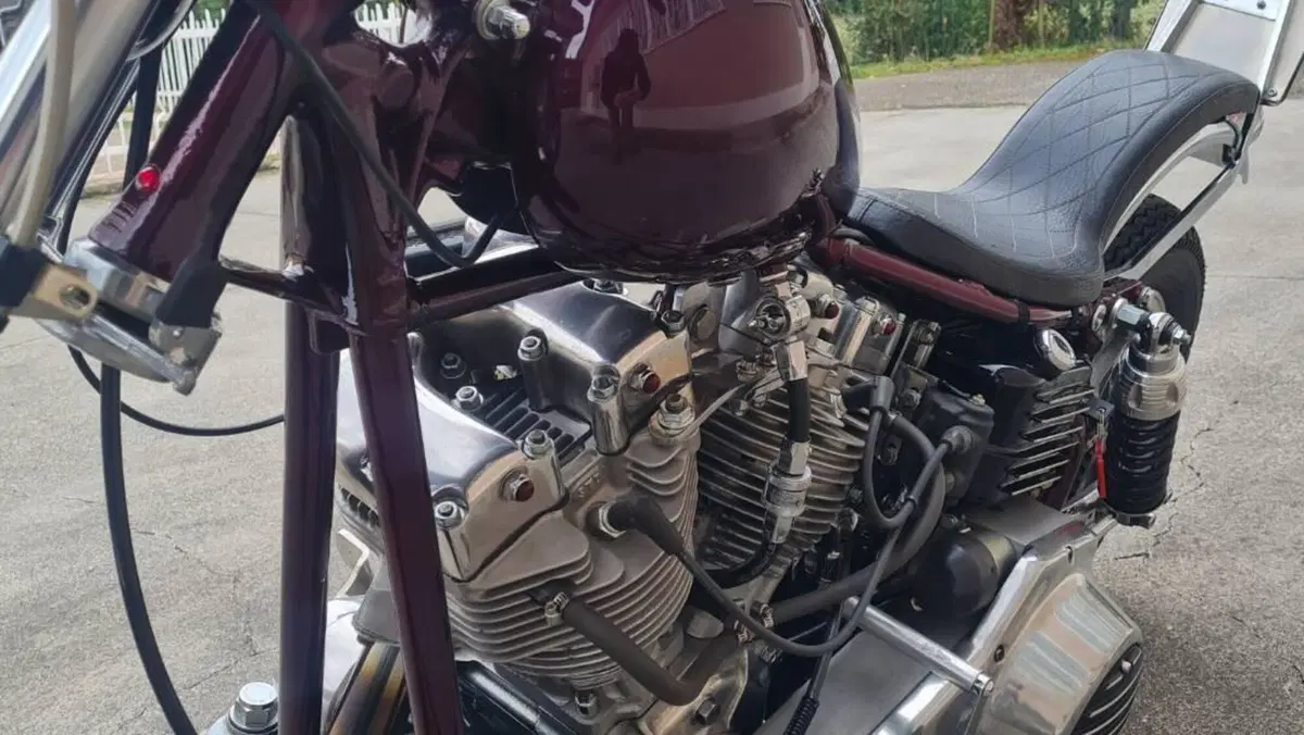 Harley-Davidson   (3)