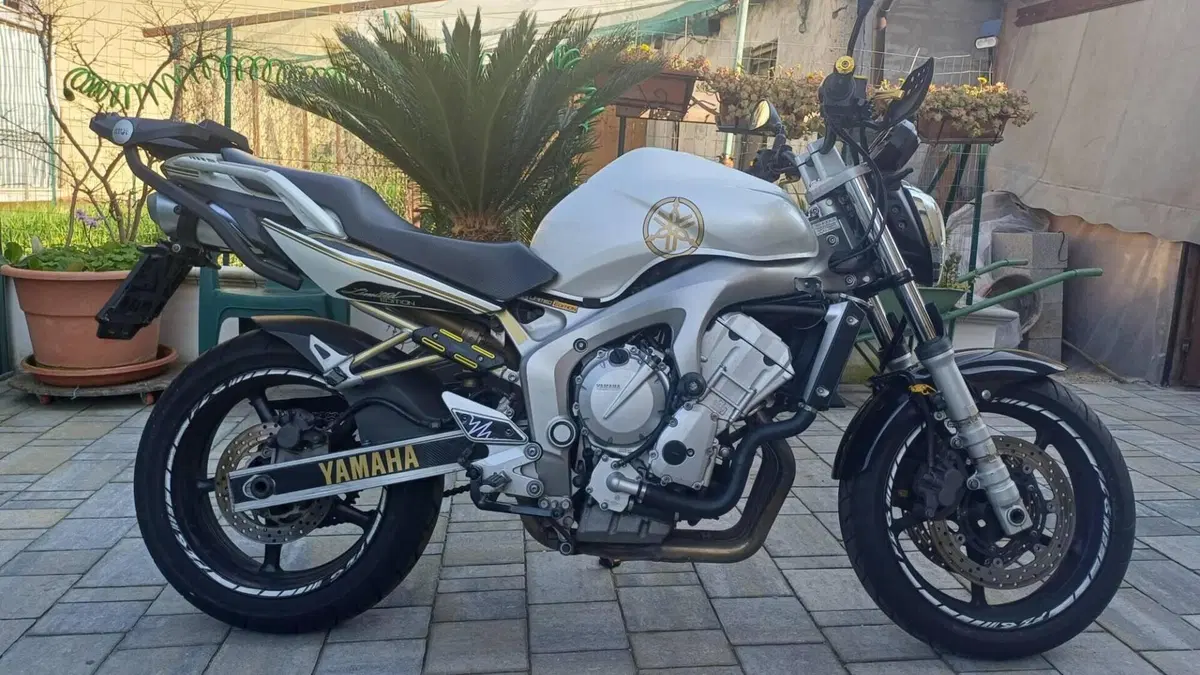 Yamaha FZ6 (2004 - 07)  (3)