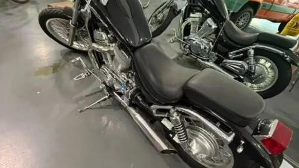 Suzuki VS 600 GL Dep (1995 - 98)  (2)