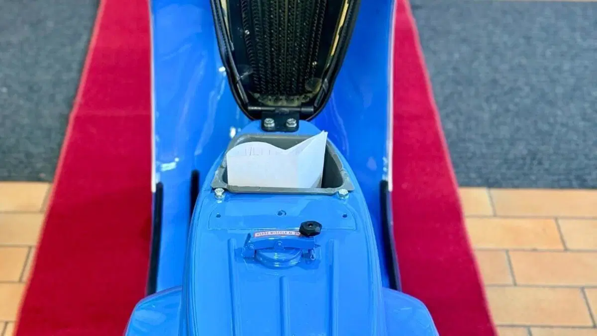 Piaggio   (5)