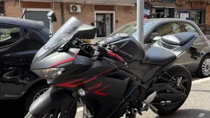 Yamaha YZF R3 (2018)  (2)