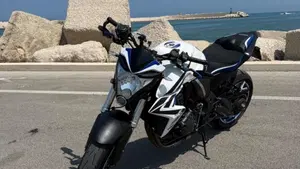 Honda CB 1000 R (2008 - 10) 