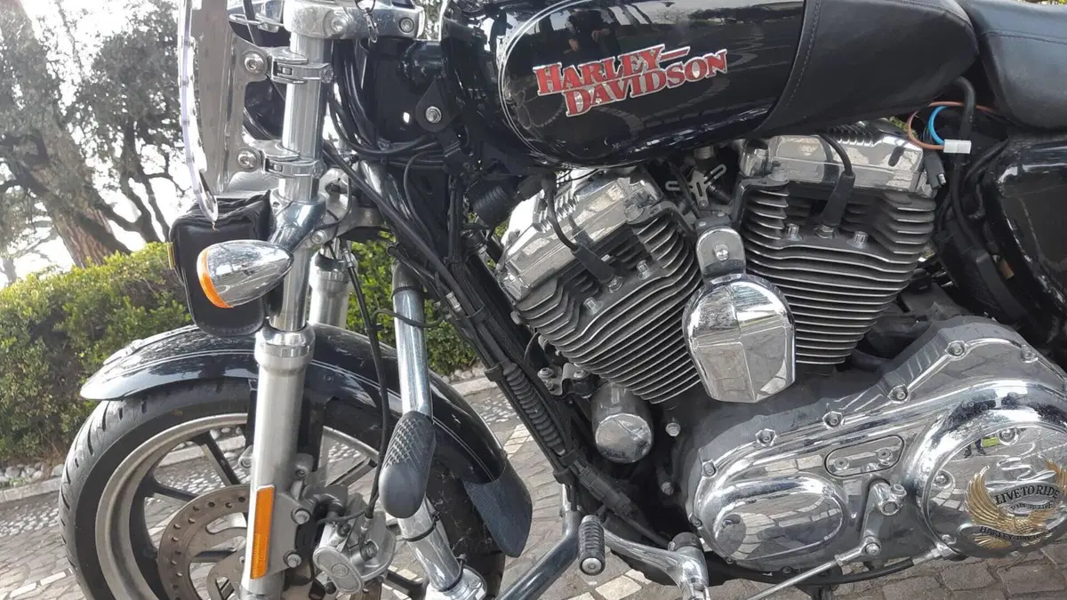 Harley-Davidson 1200 SuperLow (2014 - 16) - XL 1200T  (4)