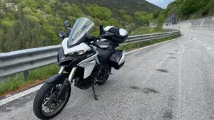 Ducati Multistrada 950 (2018)  (5)