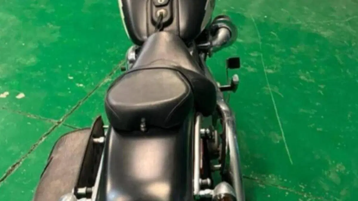 Harley-Davidson 1584 Custom (2007) - FXSTC  (2)