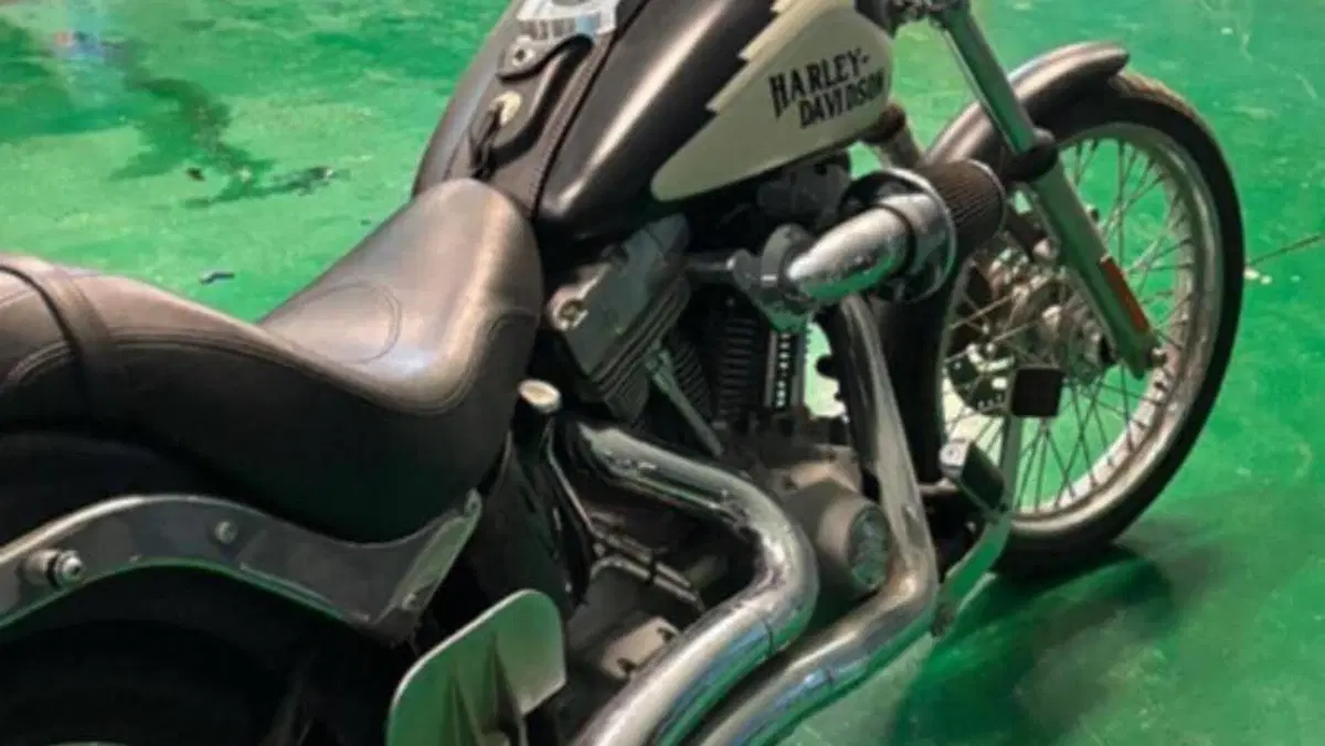 Harley-Davidson 1584 Custom (2007) - FXSTC  (3)