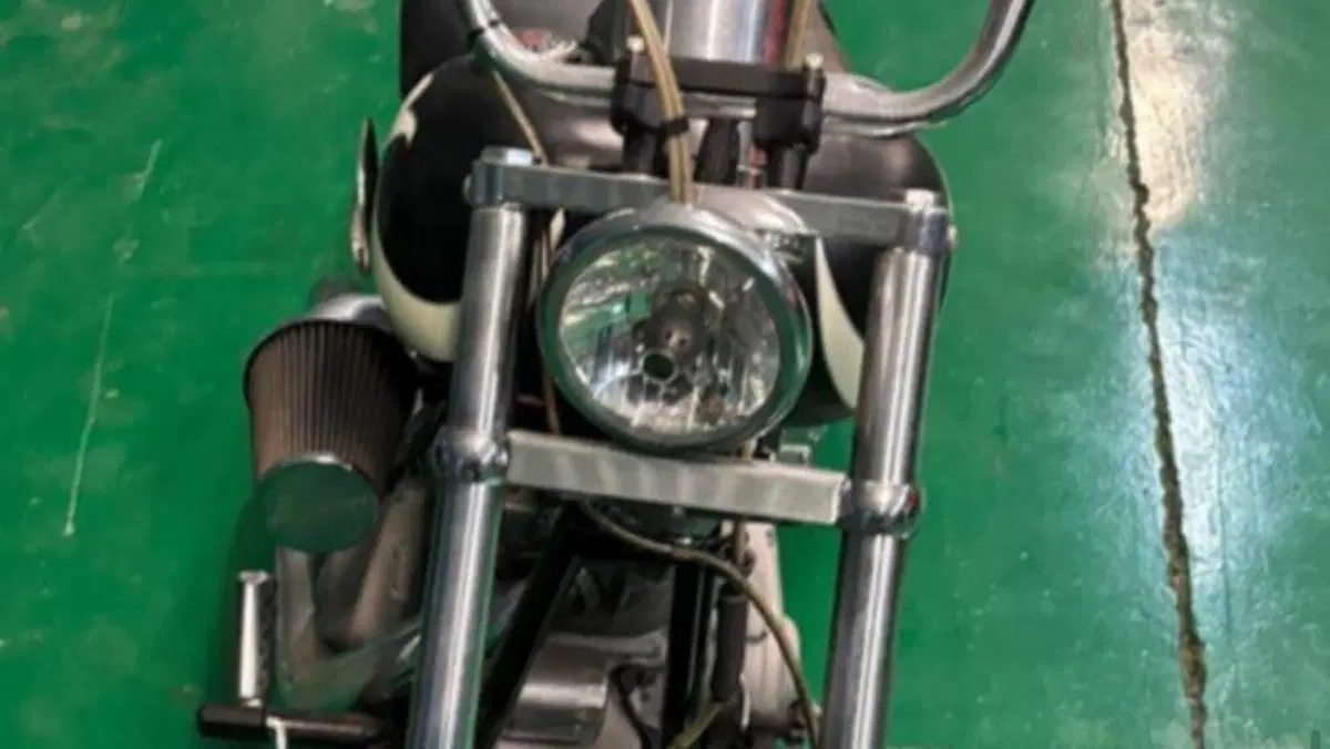 Harley-Davidson 1584 Custom (2007) - FXSTC  (4)