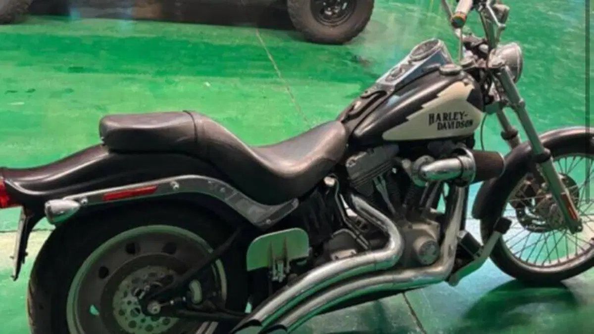 Harley-Davidson 1584 Custom (2007) - FXSTC  (5)