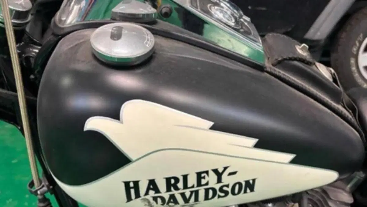 Harley-Davidson 1584 Custom (2007) - FXSTC  (8)
