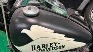 Harley-Davidson 1584 Custom (2007) - FXSTC  (8)