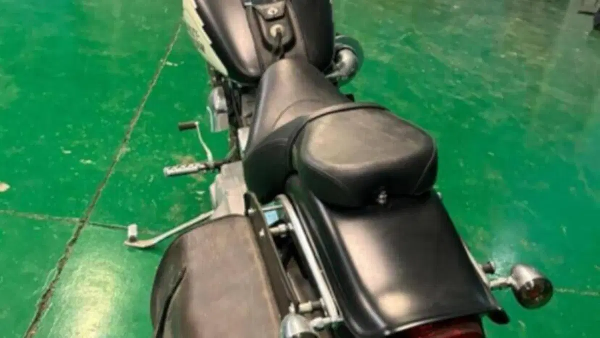 Harley-Davidson 1584 Custom (2007) - FXSTC  (9)
