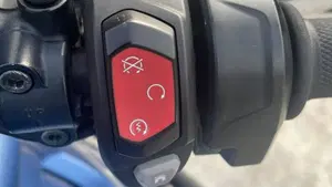 Triumph Tiger 800 XRt (2018 - 20)  (10)