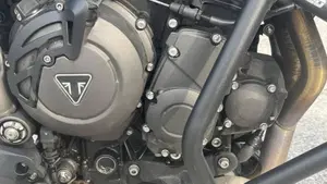 Triumph Tiger 800 XRt (2018 - 20)  (18)