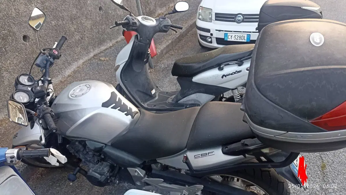 Honda CBF 600 N (2005- 11)  (2)