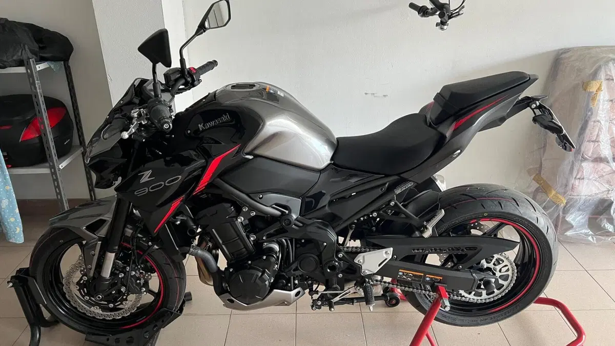 Kawasaki Z 900 (2021 - 24) 