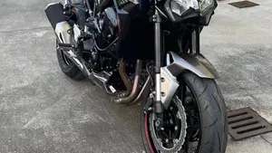 Kawasaki Z 900 (2021 - 24)  (2)