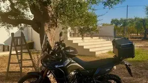 Yamaha Ténéré 700 World Raid (2022 - 25)  (5)