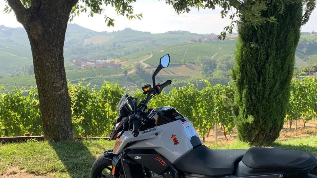 KTM 790 Duke L (2023 - 24)  (2)