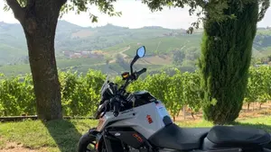 KTM 790 Duke L (2023 - 24)  (2)