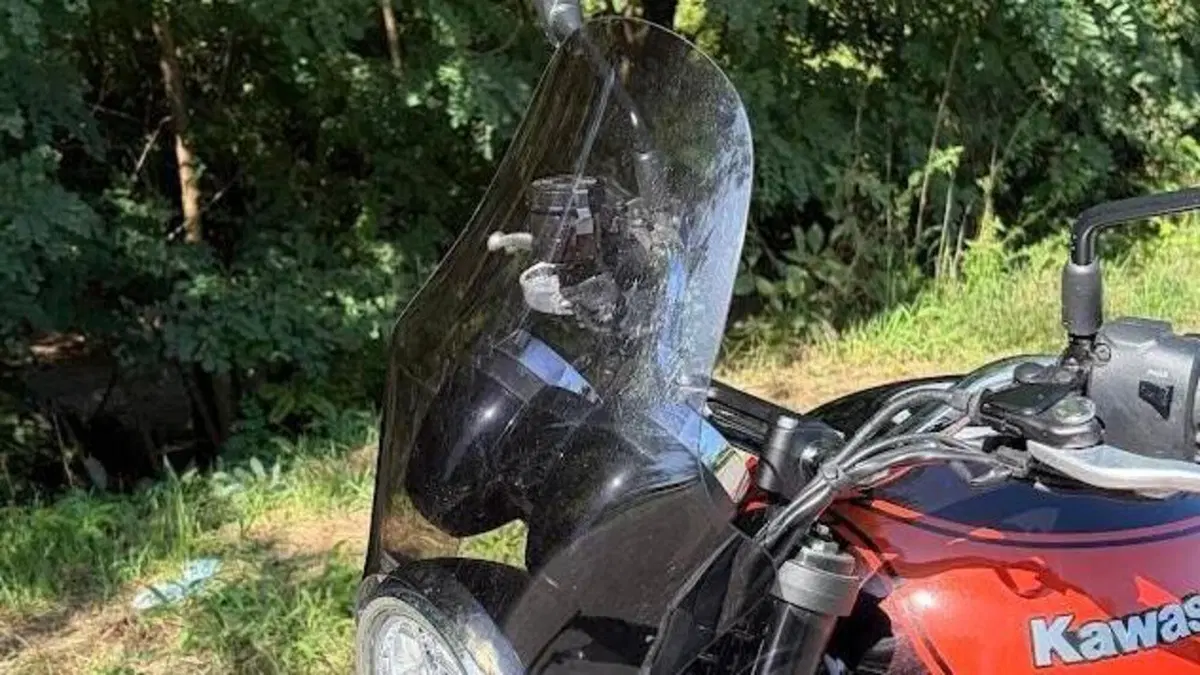 Kawasaki Z 900 RS (2018 - 20)  (5)