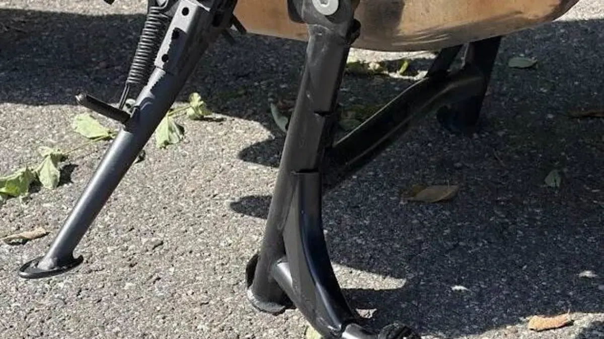 Kawasaki Z 900 RS (2018 - 20)  (9)