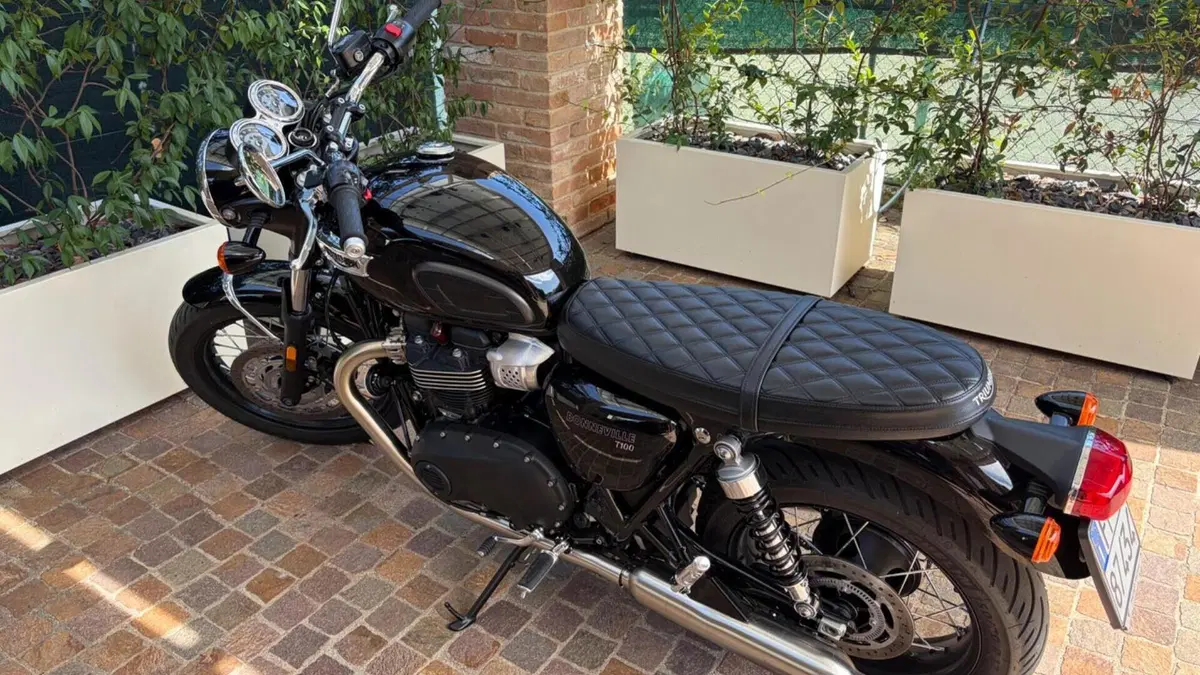 Triumph Bonneville T100 (2021 - 25)  (6)
