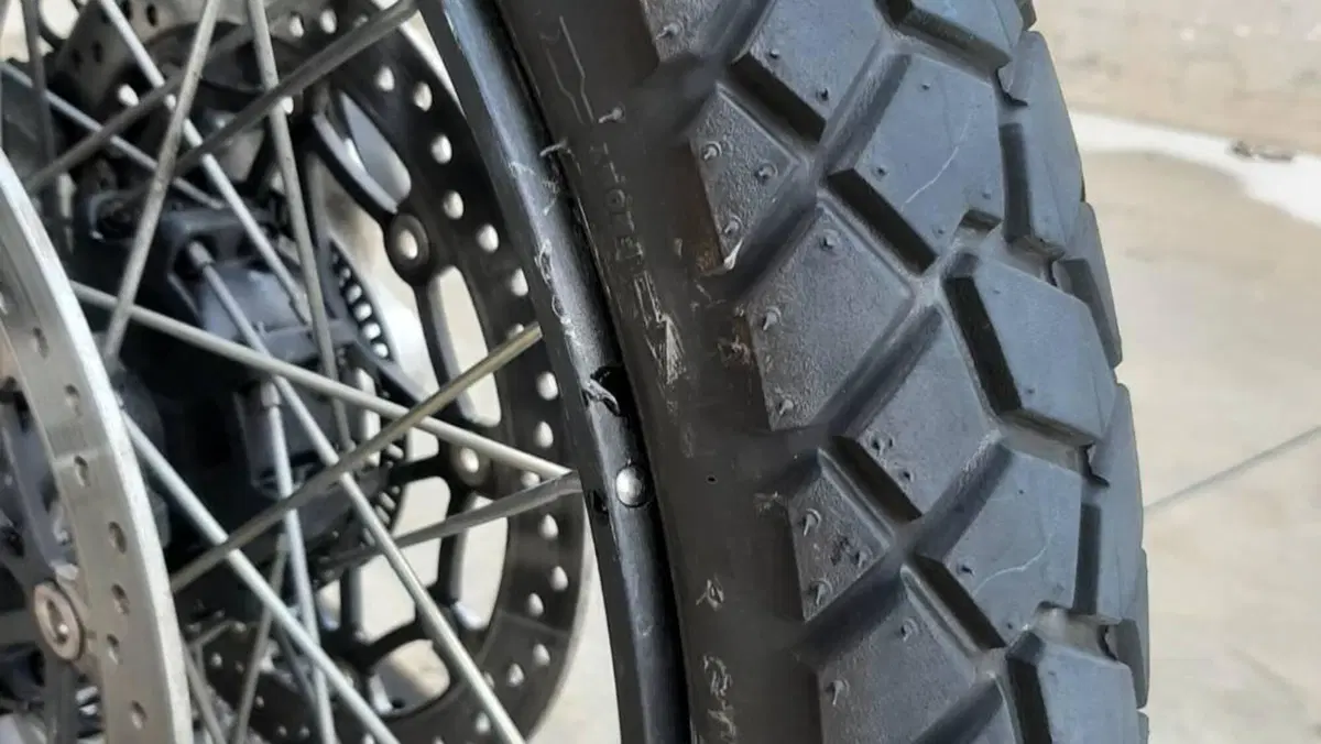 Triumph Tiger 900 Rally Pro (2020 - 23)  (5)